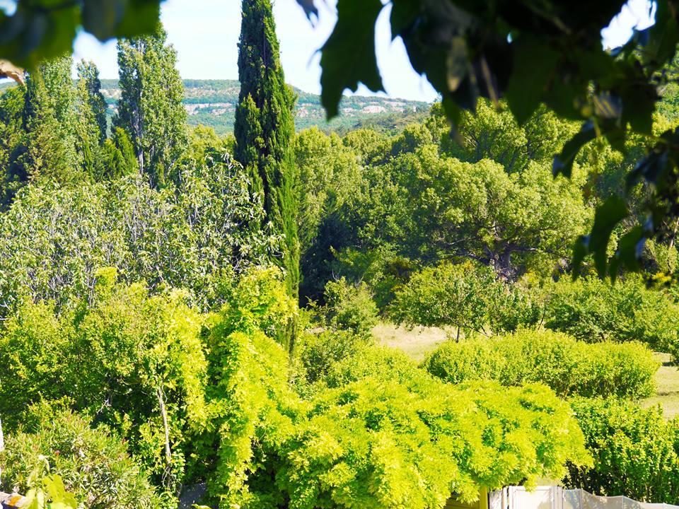Gites De La Croix Du Gres (Adults Only) 瓦劳里埃 外观 照片