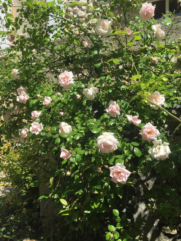 Gites De La Croix Du Gres (Adults Only) 瓦劳里埃 外观 照片