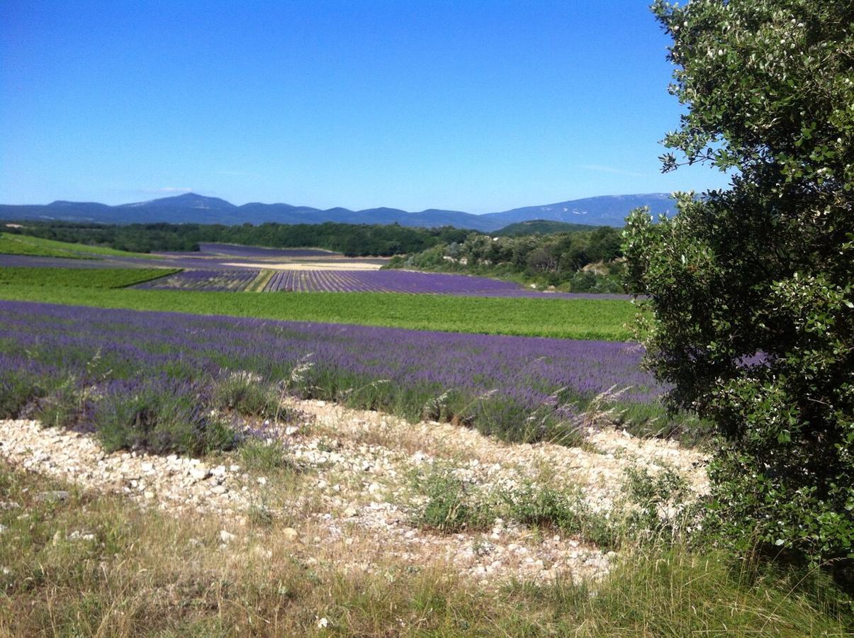 Gites De La Croix Du Gres (Adults Only) 瓦劳里埃 外观 照片