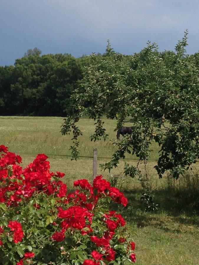 Gites De La Croix Du Gres (Adults Only) 瓦劳里埃 外观 照片